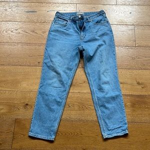 Everlane The Curvy Cheeky Jean